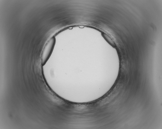 X0000111461332200908241311
