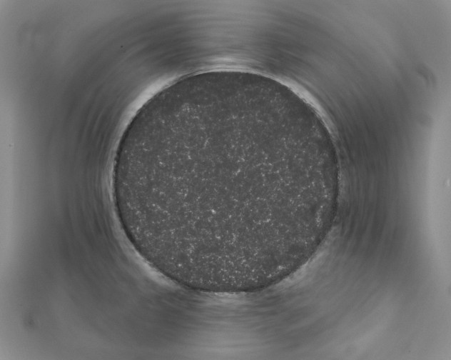 X0000111461333200908241311