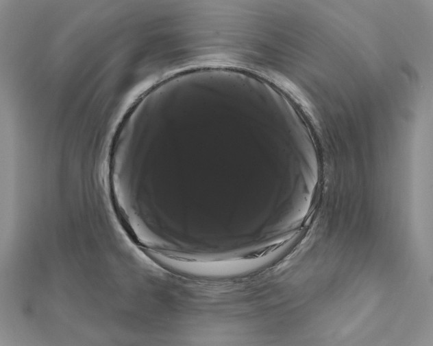 X0000111461334200908241311