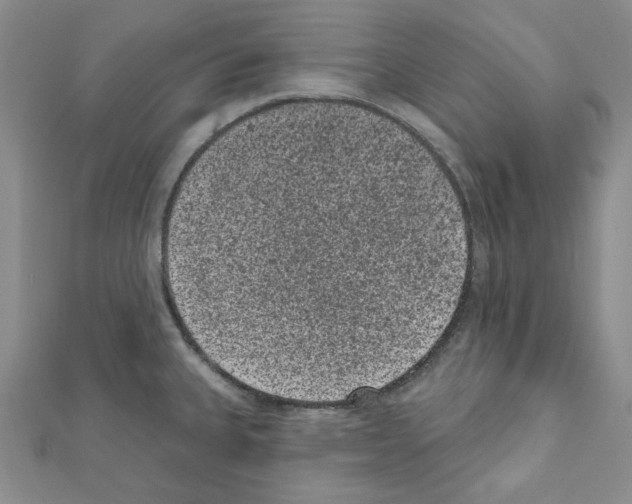 X0000111461335200908241311