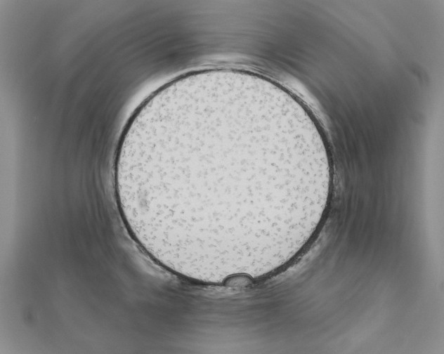 X0000111461336200908241311