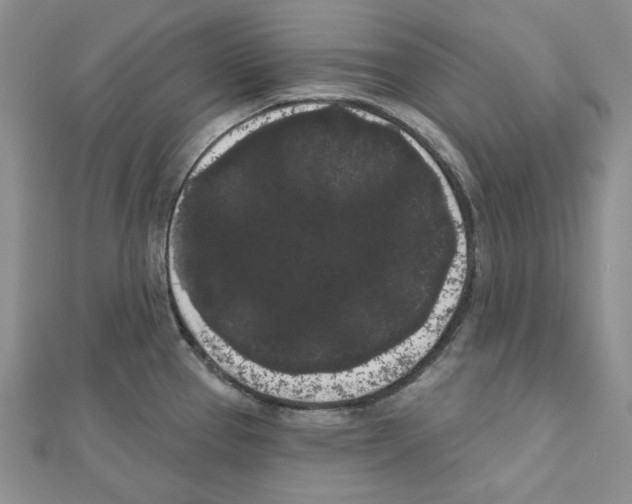 X0000111461337200908241311