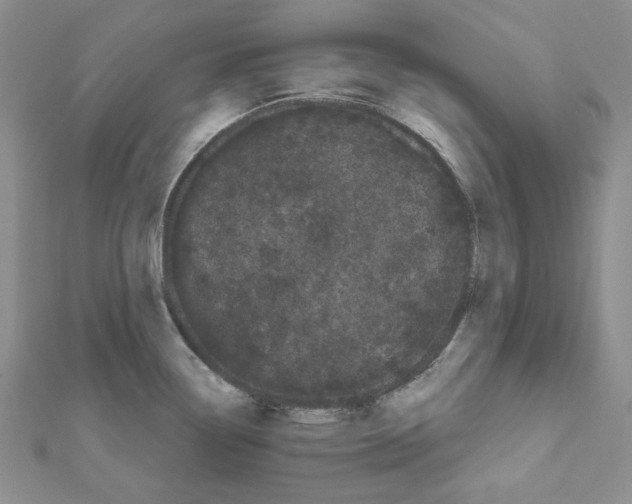 X0000111461338200908241311