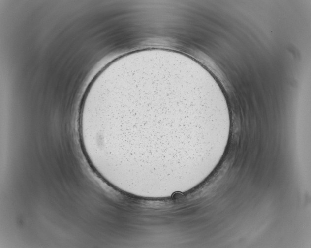 X0000111461339200908241311