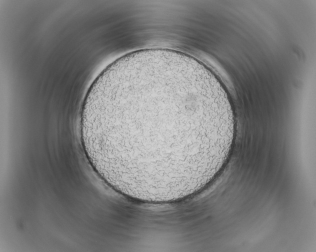 X0000111461340200908241311