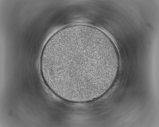 X0000111461341200908241311