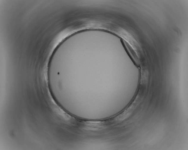 X0000111461342200908241311