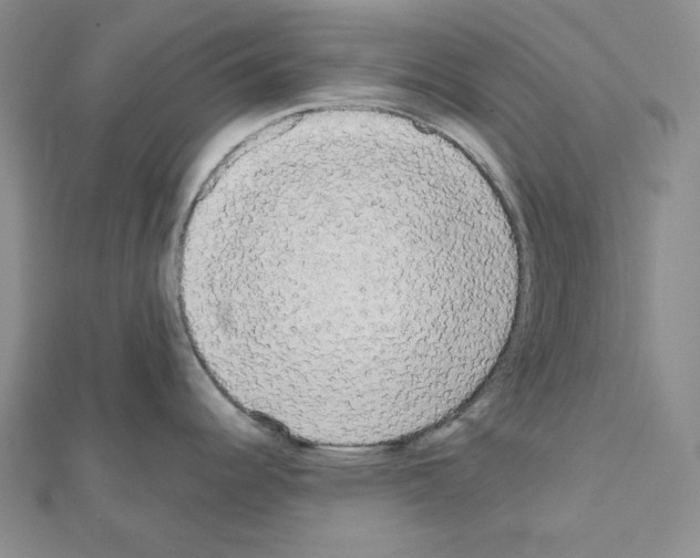 X0000111461344200908241311