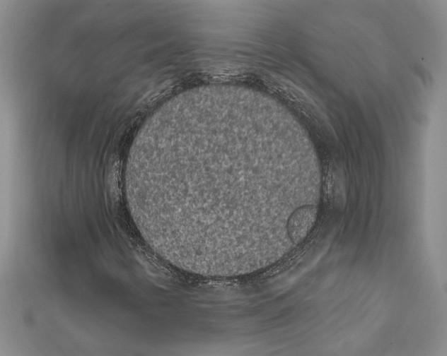 X0000111461346200908241311