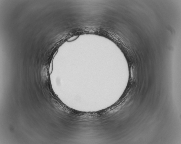X0000111461347200908241311