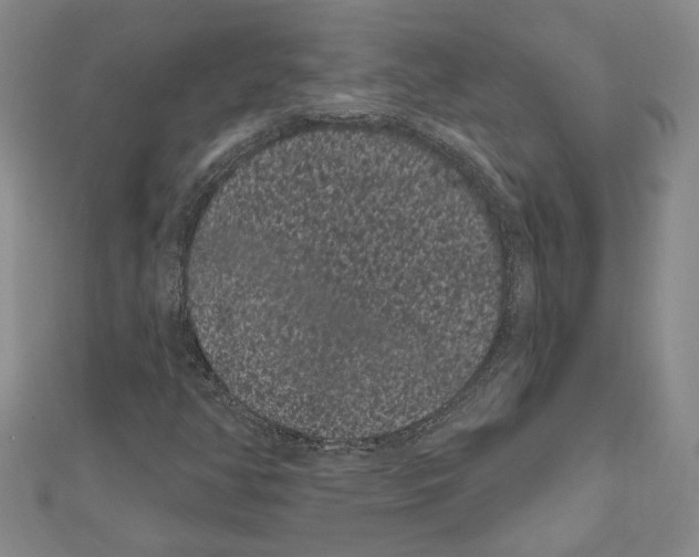 X0000111461350200908241311