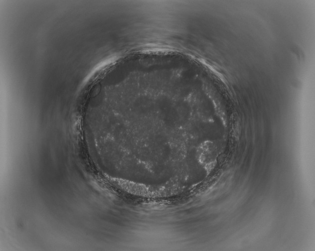 X0000111461351200908241311