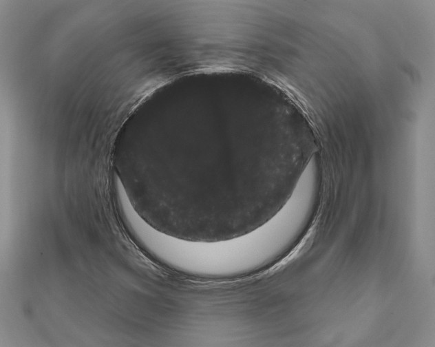 X0000111461353200908241311