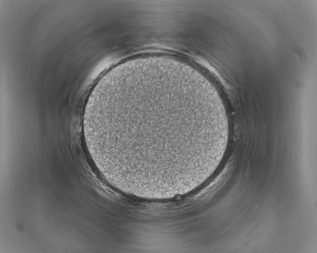 X0000111461355200908241311