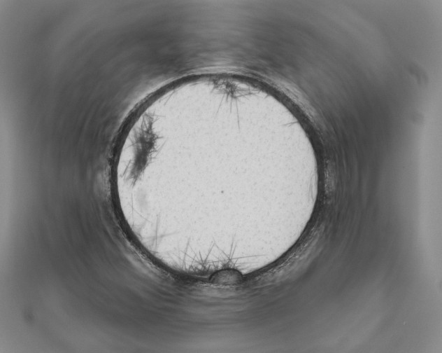 X0000111461356200908241311