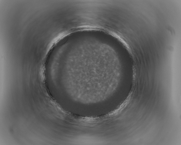 X0000111461357200908241311