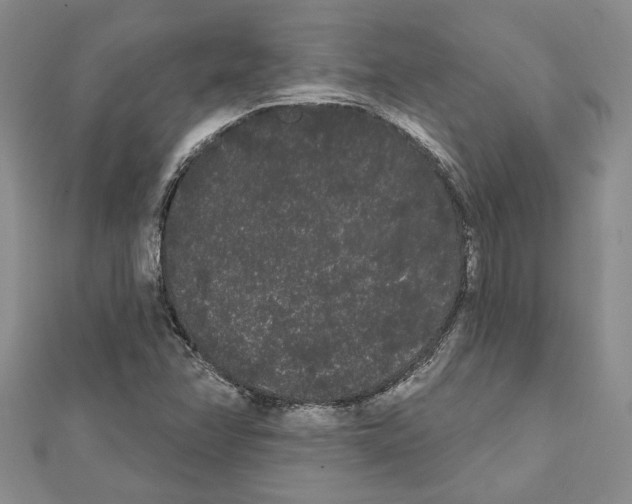 X0000111461358200908241310