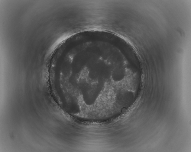 X0000111461359200908241310