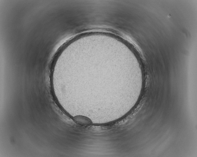 X0000111461360200908241310