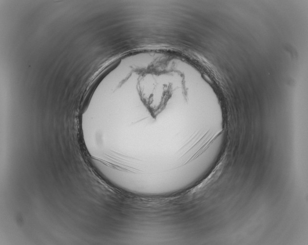 X0000111461361200908241310