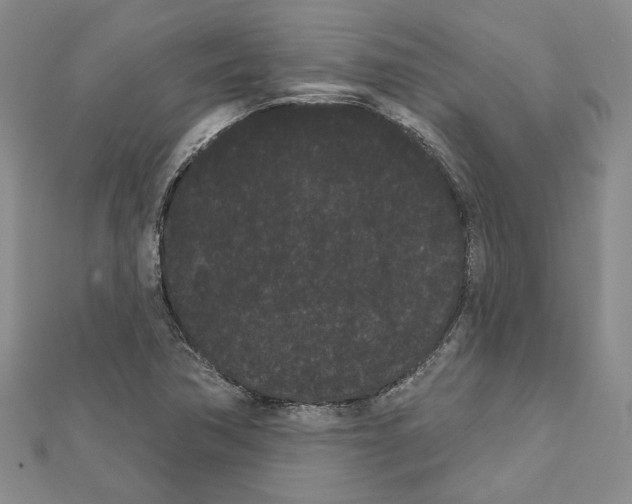 X0000111461362200908241310