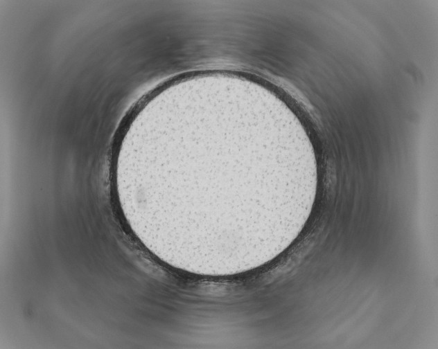 X0000111461364200908241310
