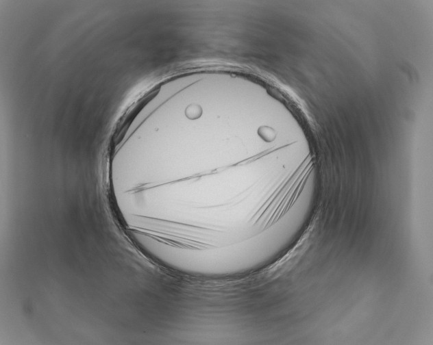 X0000111461365200908241310