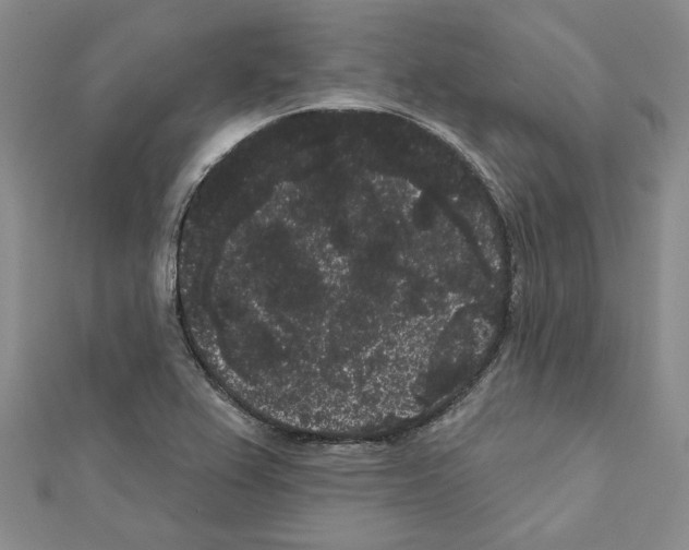 X0000111461367200908241310
