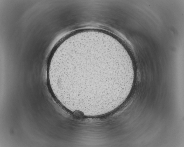 X0000111461368200908241310