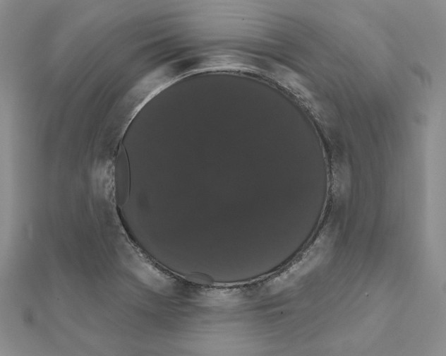 X0000111461369200908241310