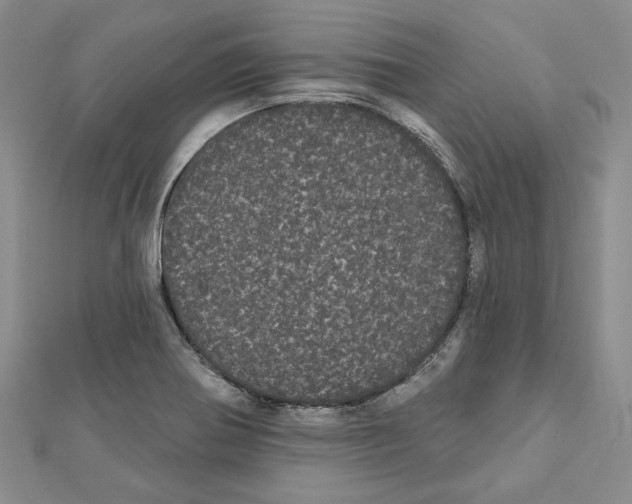 X0000111461370200908241310