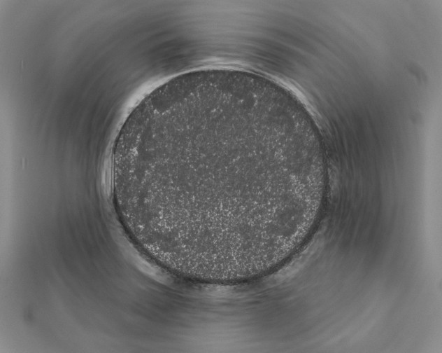 X0000111461371200908241310