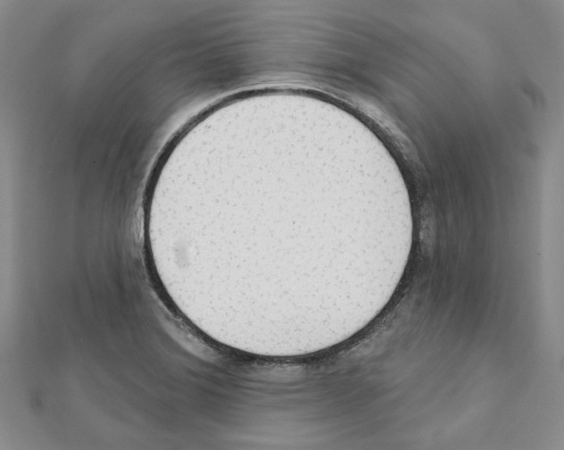 X0000111461372200908241310