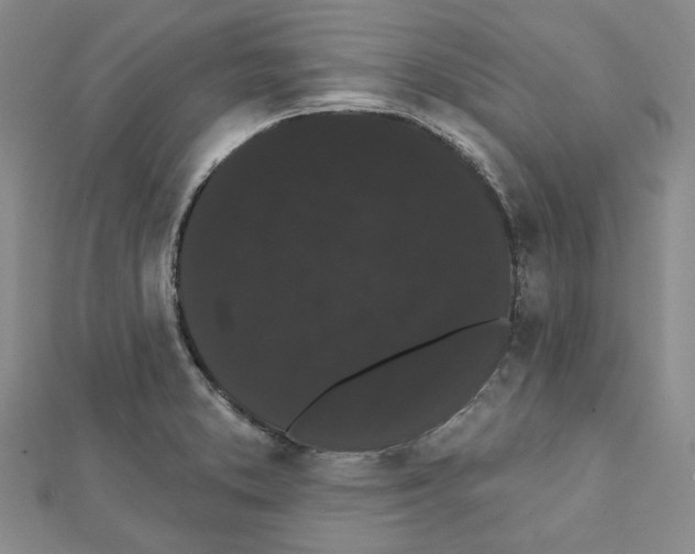 X0000111461373200908241310