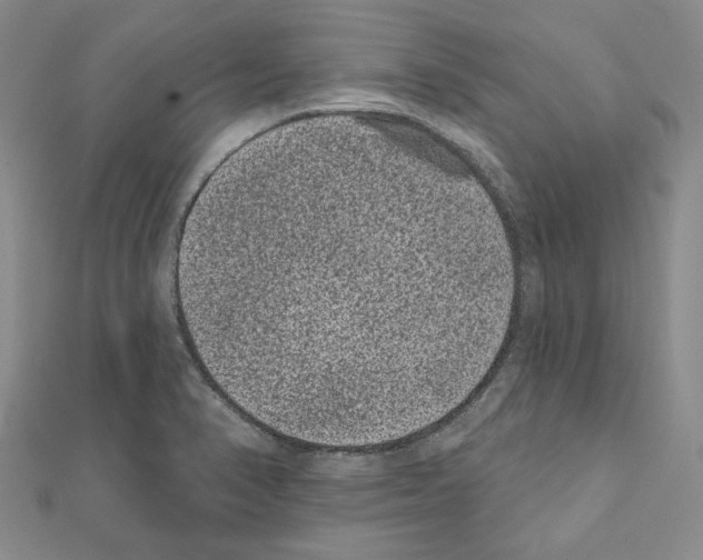 X0000111461374200908241310