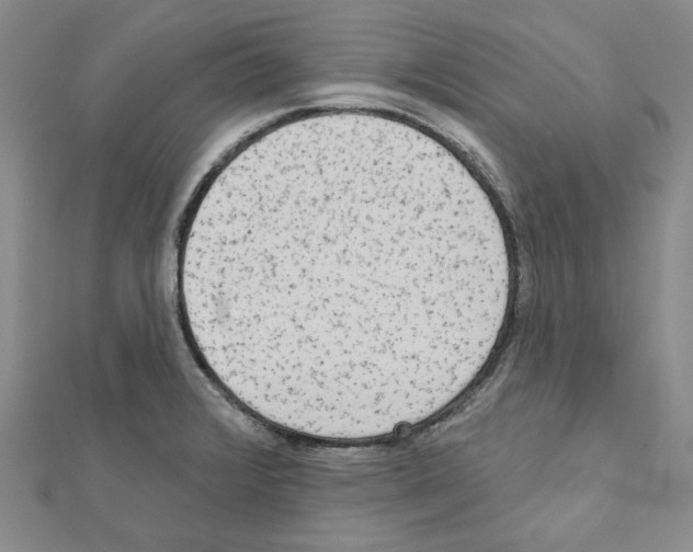 X0000111461376200908241310