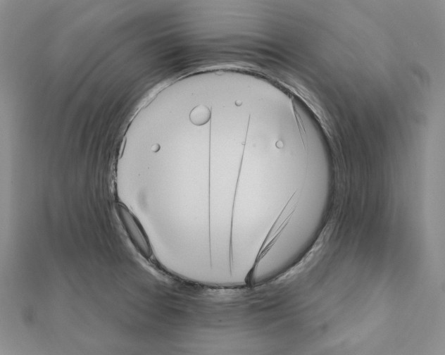 X0000111461377200908241310