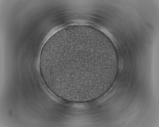 X0000111461378200908241310