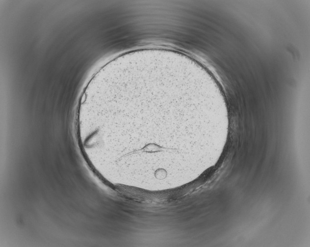 X0000111461379200908241310