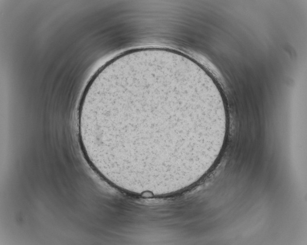 X0000111461380200908241310