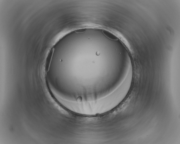 X0000111461381200908241310