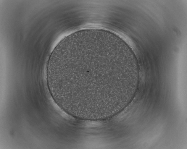 X0000111461382200908241310
