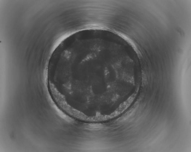 X0000111461383200908241310