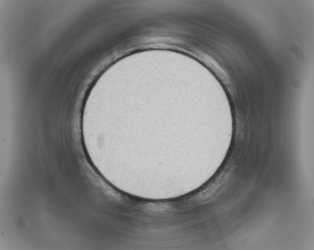 X0000111461384200908241310