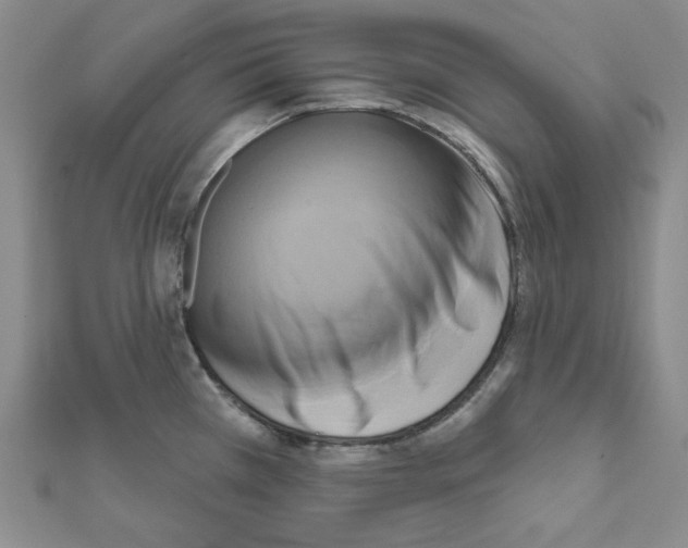 X0000111461385200908241310