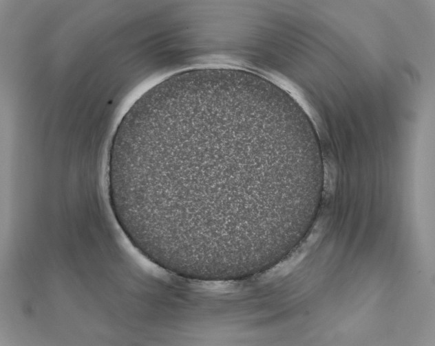 X0000111461387200908241310