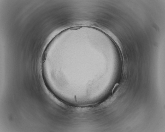 X0000111461389200908241310