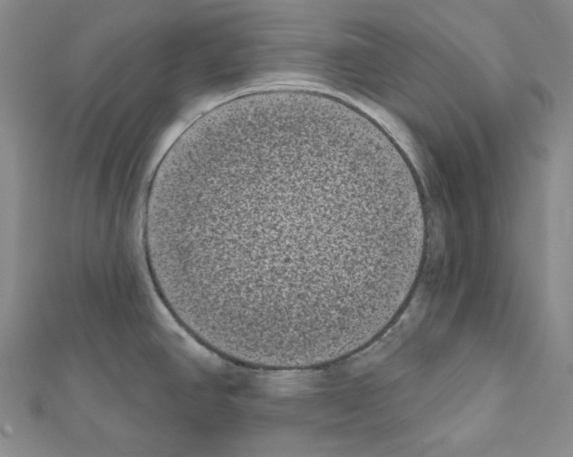 X0000111461390200908241310