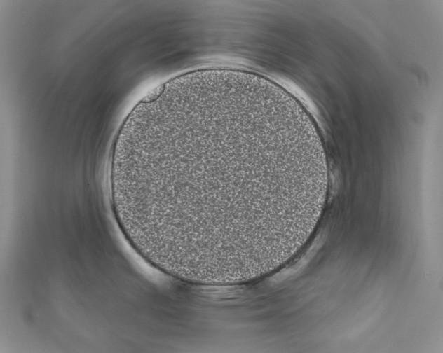 X0000111461391200908241310