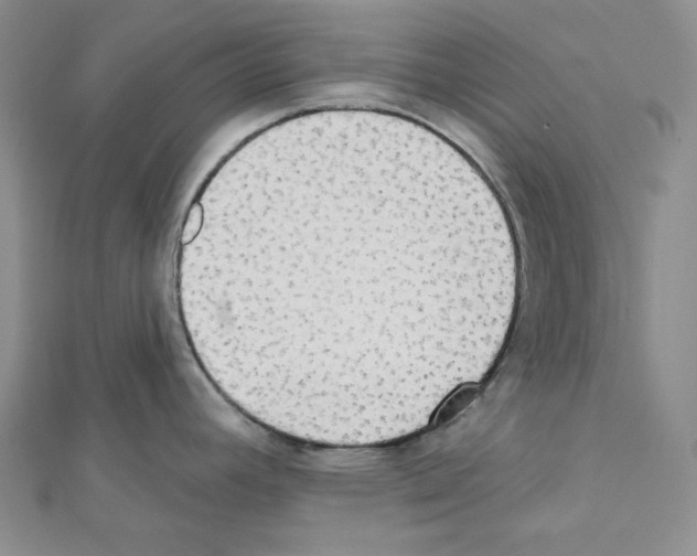 X0000111461392200908241310